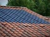 Green Roof on Red Tile